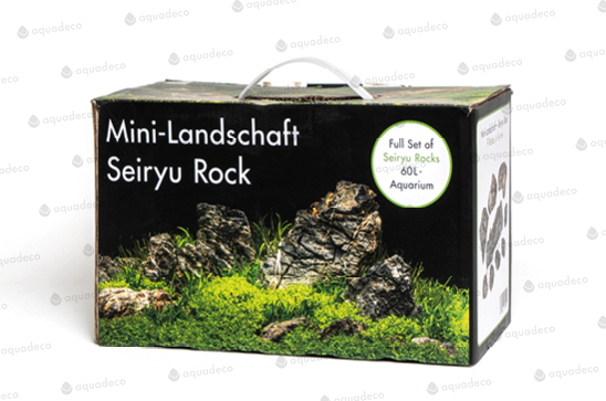DECO MINI SET LANDSCAPE x ACQUARIO 60cm