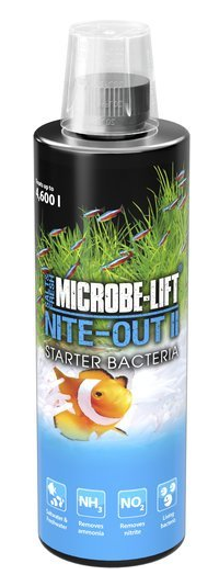 NITE OUT II 118ml