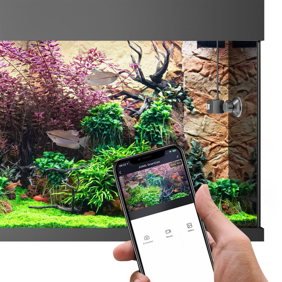 SMARTCAM JUWEL JUWEL