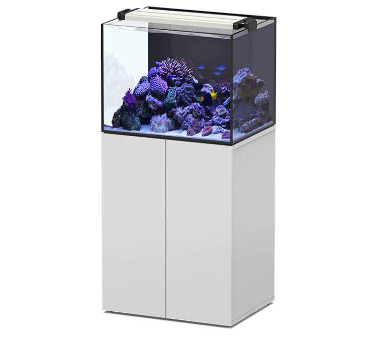 AQUAVIEW 65 CON SUPPORTO BIANCO