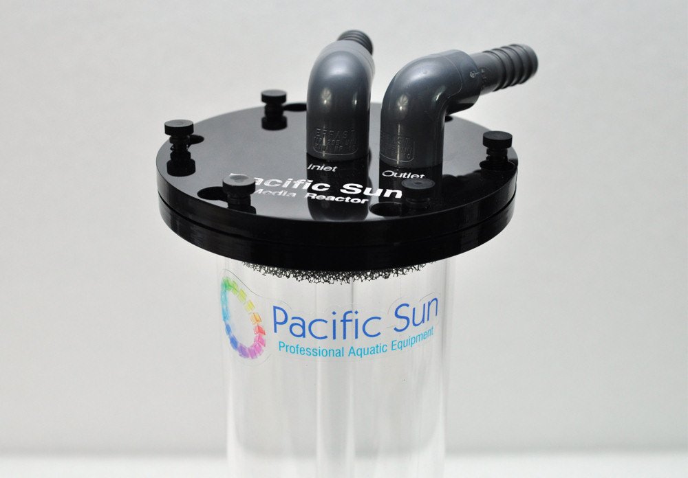 MEDIA REACTOR 2,6 Litri PACIFIC SUN