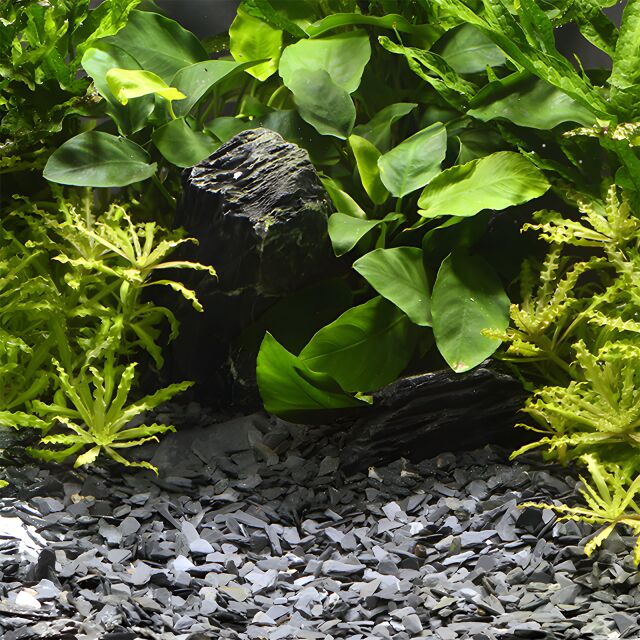 NATURAL GRAVEL KONGO 3-8mm Kg.0,5