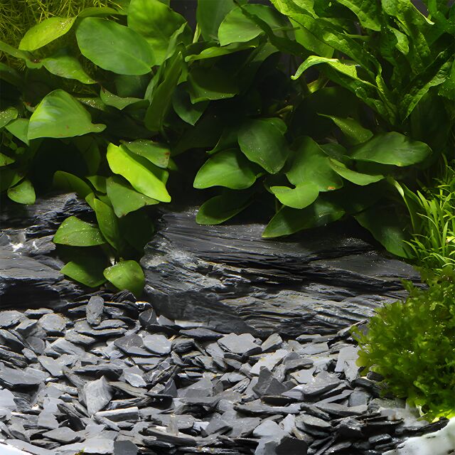 DENNERLE NATURAL GRAVEL KONGO 10-30 mm Kg.2,5 DENNERLE