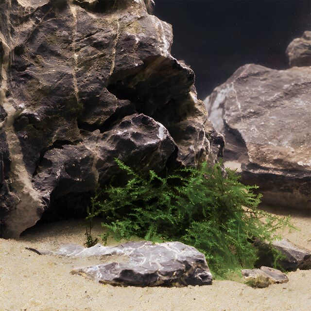 DENNERLE NATURAL GRAVEL MEKONG 0,1-0,6mm Kg.2,5 DENNERLE