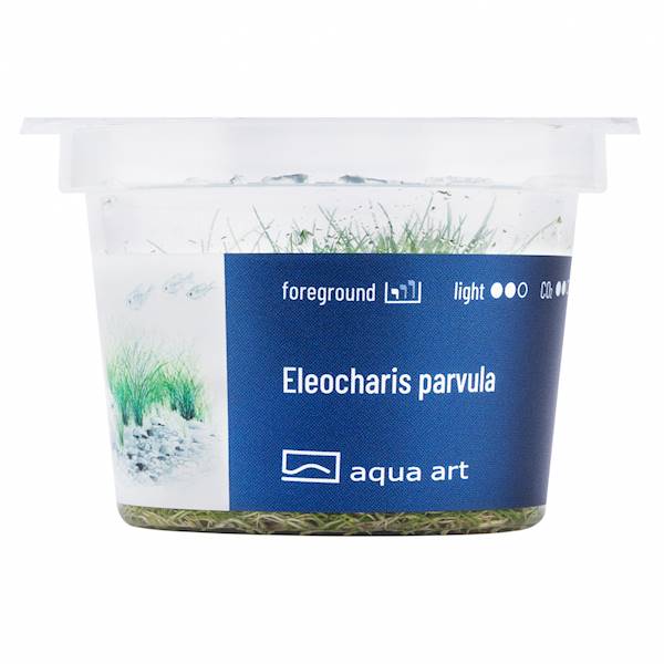 ELEOCHARIS PARVULA