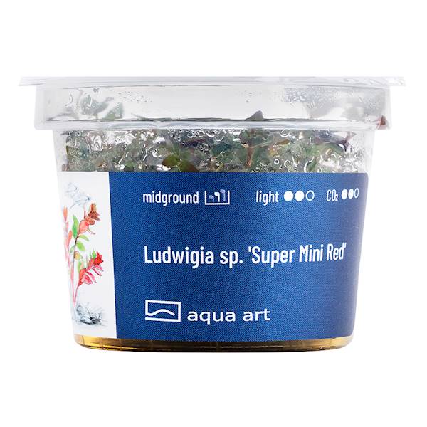 LUDWIGIA SP. SUPER MINI RED AQUA ART