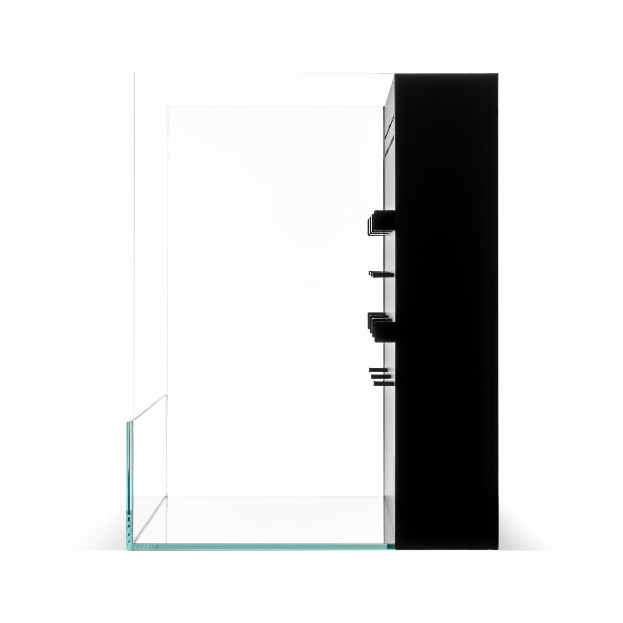 FORESTA PALUDARIUM 35E - SENZA SCATOLA ORIGINALE UNS