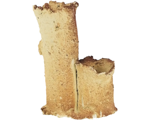 DOUBLE TRUNK 10x6cm