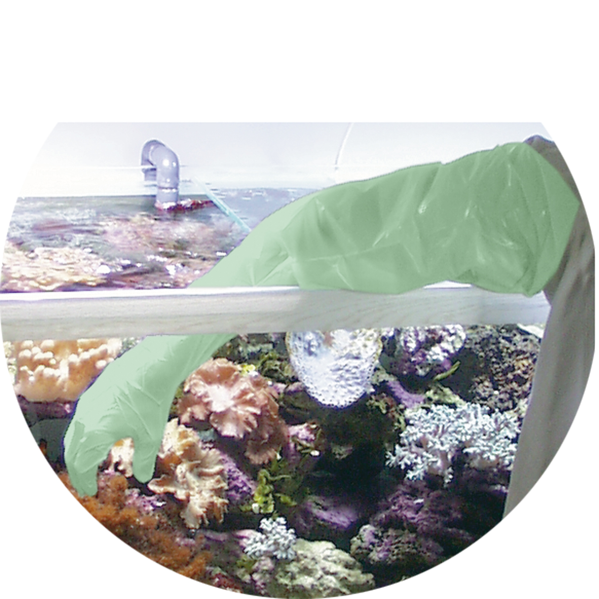 PROTECTIVE GLOVES 10pcs.