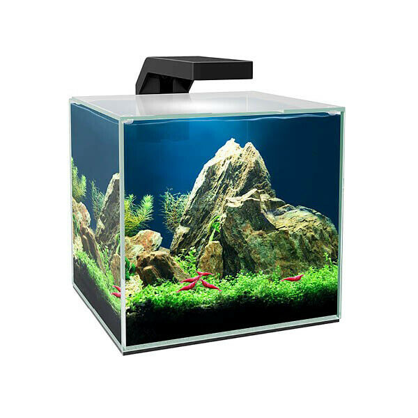 CIANO CUBE 15 LED