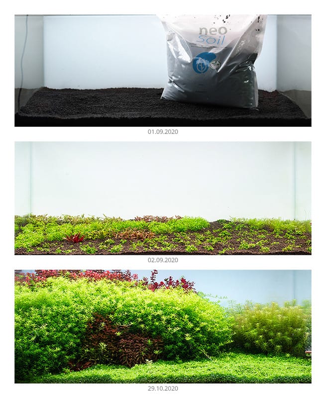 NEO PLANT SOIL BROWN 8 Litri NEO