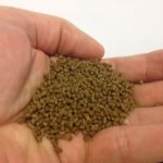 LPS CORAL PELLET 60g VITALIS
