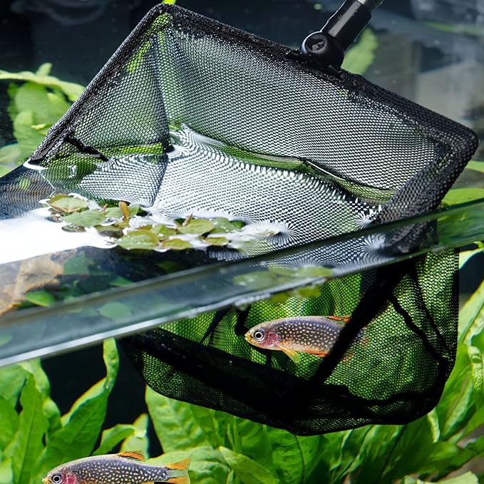 FISH NET BIG Telescopic net