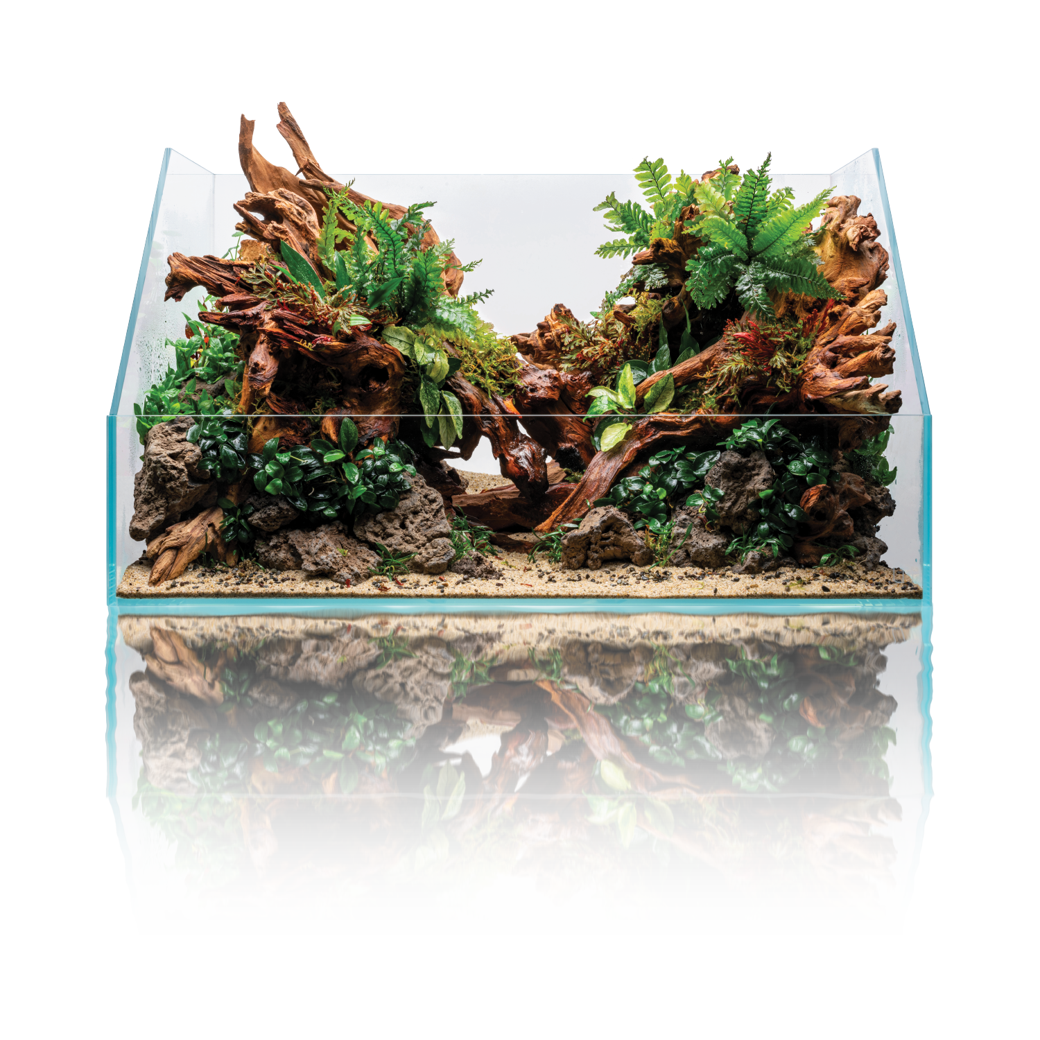 PALUDARIUM 45E UNS