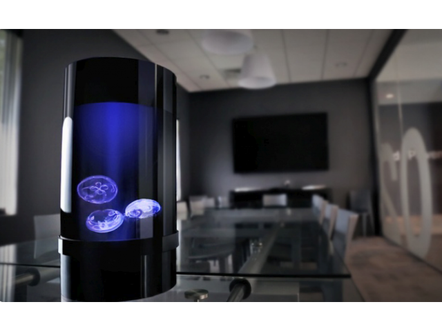 JELLYFISH CYLINDER NANO