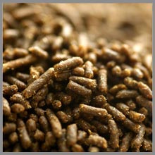 ALGAE PELLET XS 1,0mm 260g