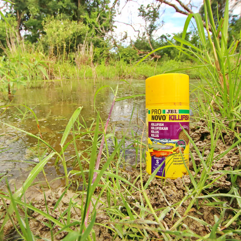 PRONOVO KILLIFISH GRANO S 100ml