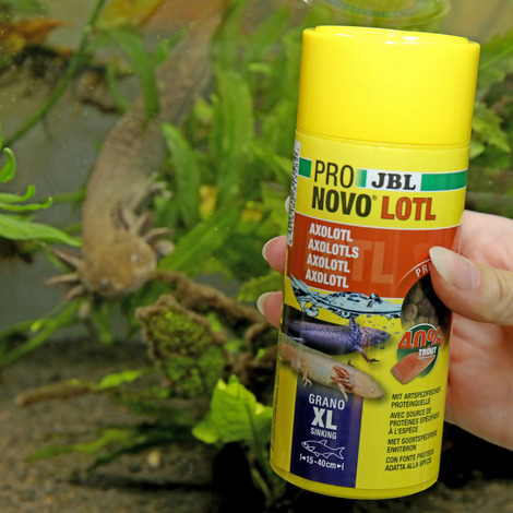 PRONOVO LOTL GRANO XL 250ml JBL