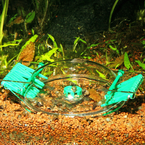 LIMCOLLECT - Snail trap
