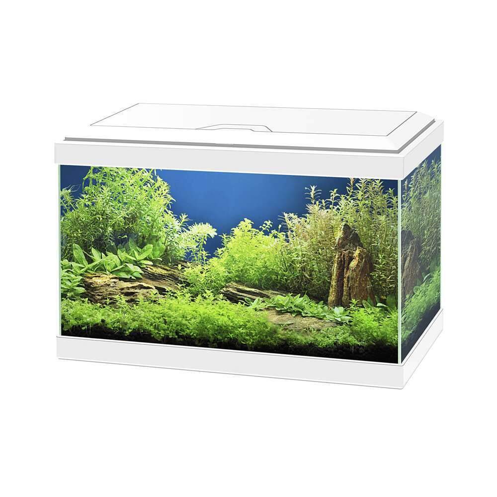 AQUA 20 WHITE