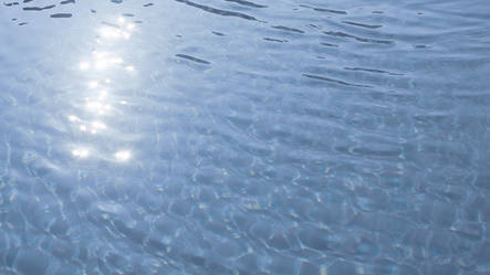OASE PONDCLEAR 500ml OASE