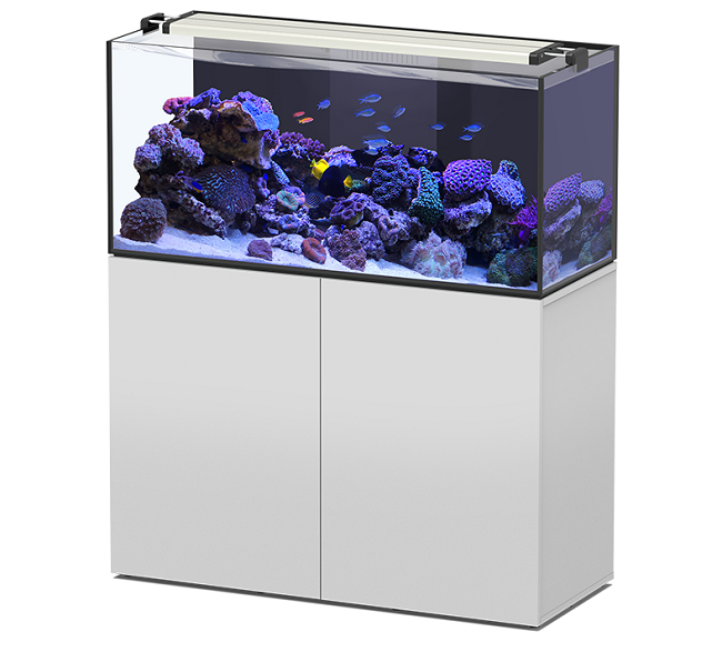 AQUAVIEW 120 CON SUPPORTO BIANCO