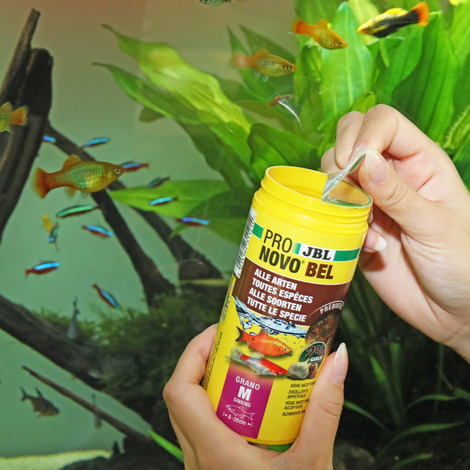PRONOVO BEL GRANO M 250ML 