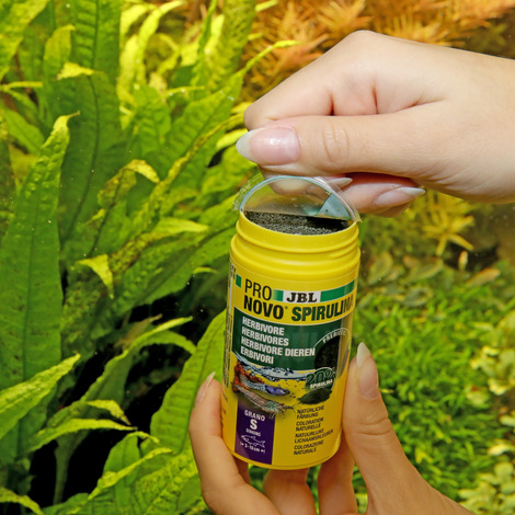PRONOVO SPIRULINA GRANO S 100ml 