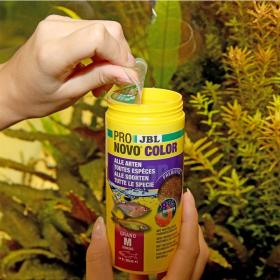 PRONOVO COLOR GRANO M 250ML 