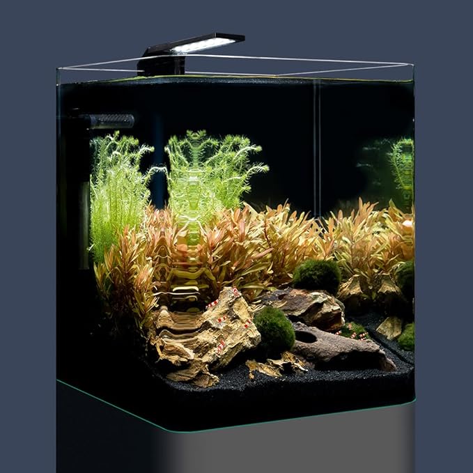 DENNERLE NANO CUBE BASIC 30 Litri DENNERLE