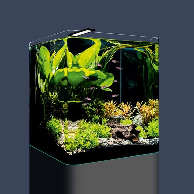DENNERLE NANO CUBE BASIC 60 Litri DENNERLE