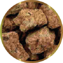 FREEZE-DRIED ARTEMIA 10g