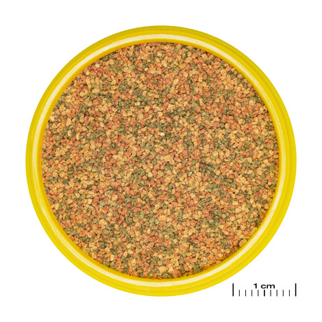 PRONOVO BEL GRANO XS 20ML 