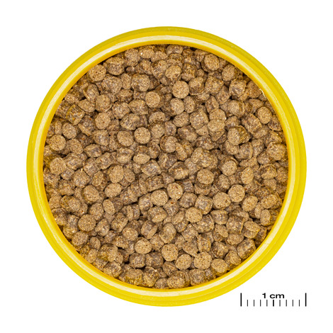 PRONOVO FANTAIL GRANO M 250ml 
