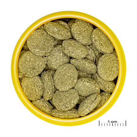 JBL PRONOVO PLECO WAFER M 100ML