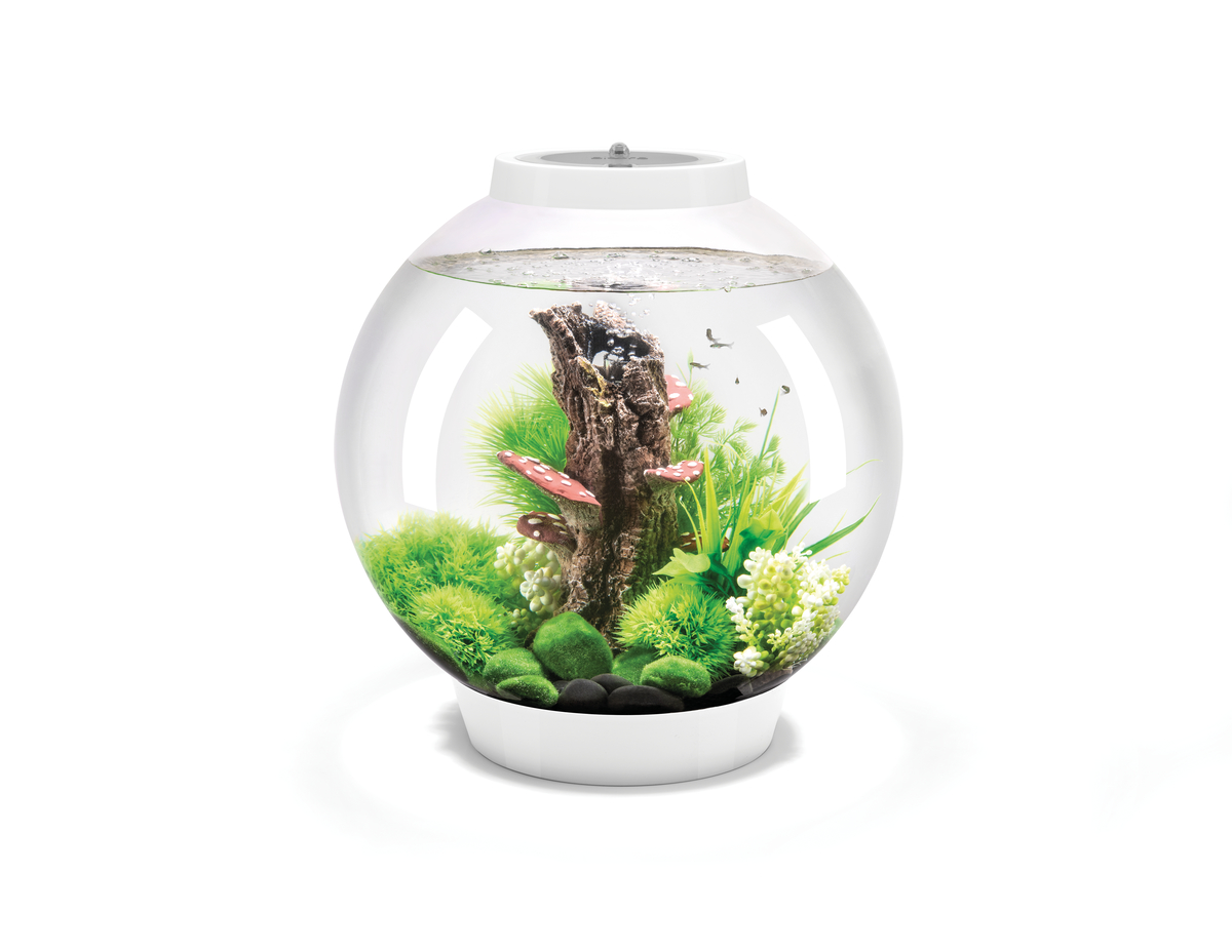 BIORB CLASSIC 30 LED BIANCO