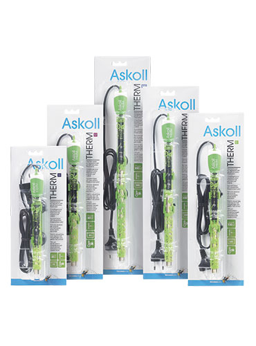 ASKOLL THERM M 50W