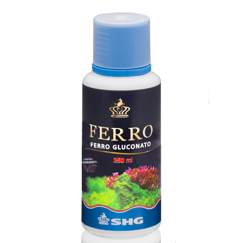 FERRO GLUCONATO 100ml