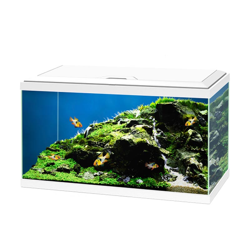 CIANO AQUA 60 LED BIANCO CIANO