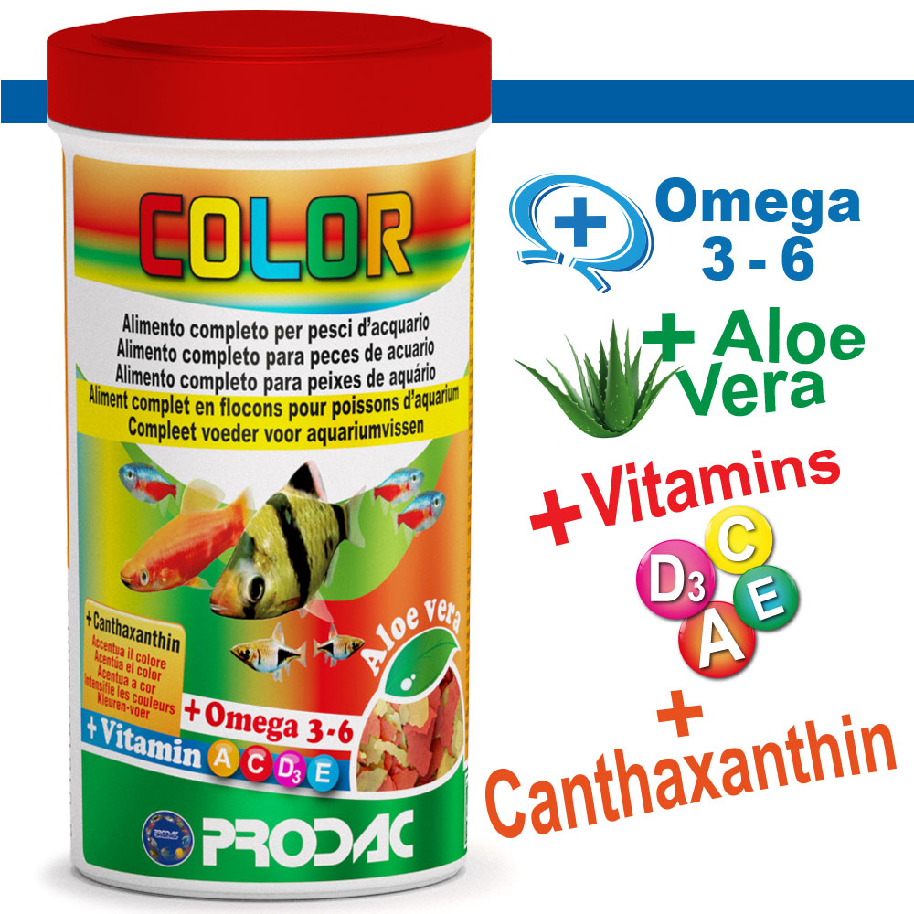 COLOR 250ML