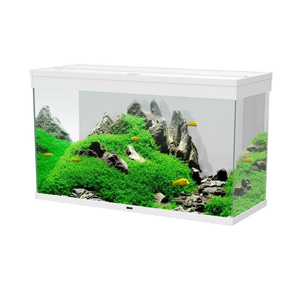 CIANO EMOTIONS NATURE PRO 100 LED BIANCO