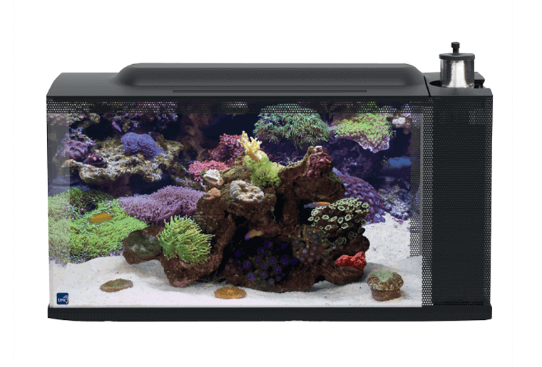 FIRST WAVE AQUARIUM SET 48L