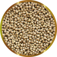 PESCI ROSSI GRANULI 45g SHG