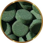 PLECOTABS 150g SHG