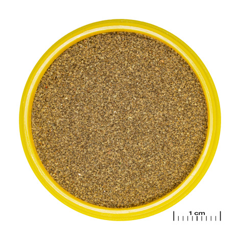 JBL PRONOVO NEON WHEAT XXS 100ML