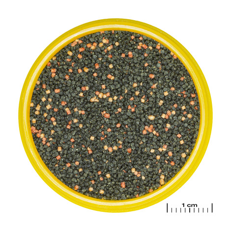 PRONOVO GUPPY GRANO S 100ML