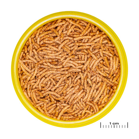 PRONOVO BETTA INSECT 20ML  S STICK S