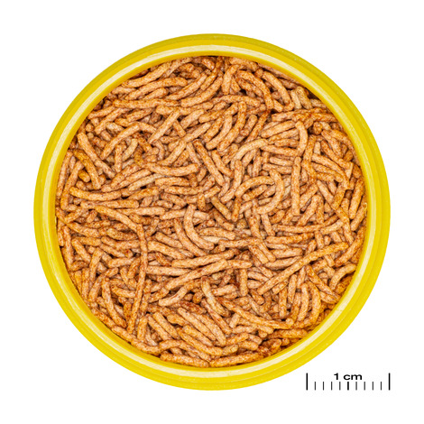 PRONOVO RED INSECT STICK S 100ML 