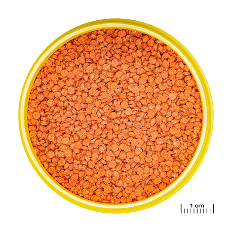 PRONOVO BITS GRANO M 1000ML 