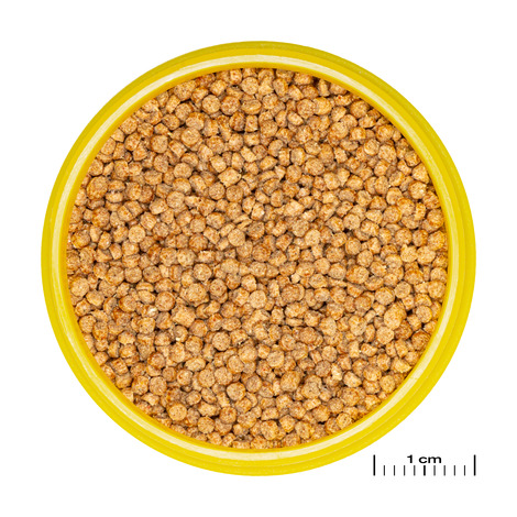 PRONOVO CICHLID GRANO S 100ML 